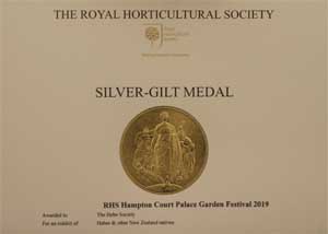 Award at RHS Hampton Court Festival, June 2019